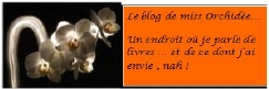 En parcourant les blogs