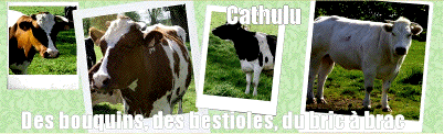 En parcourant les blogs